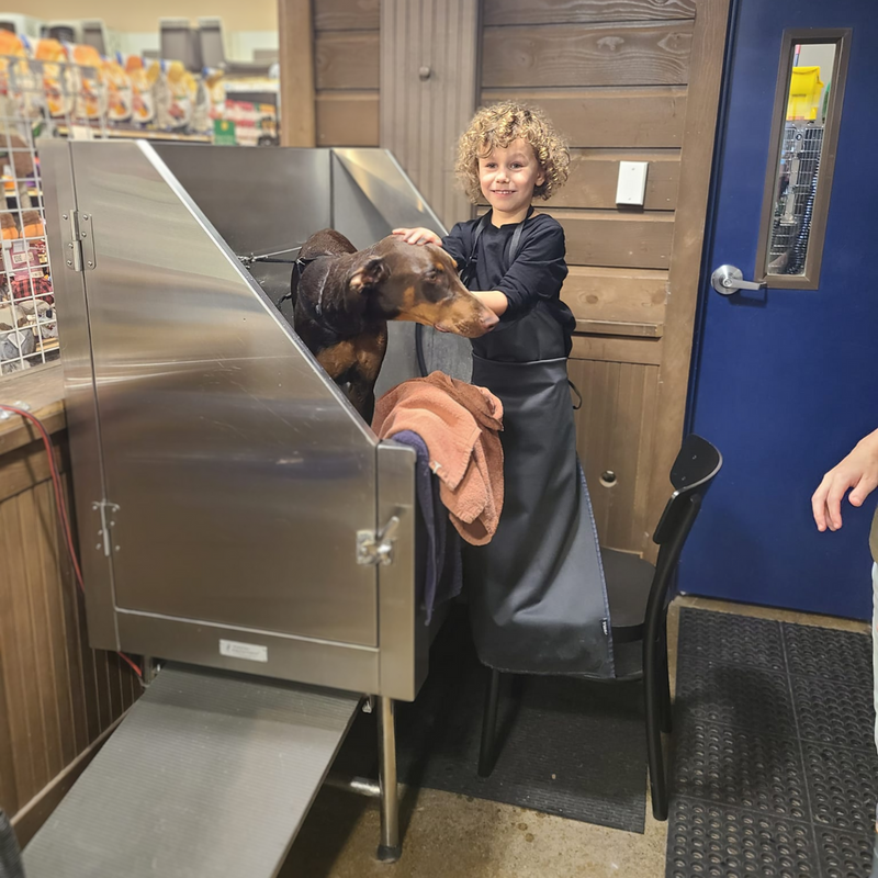 self service dog wash Kent, WA