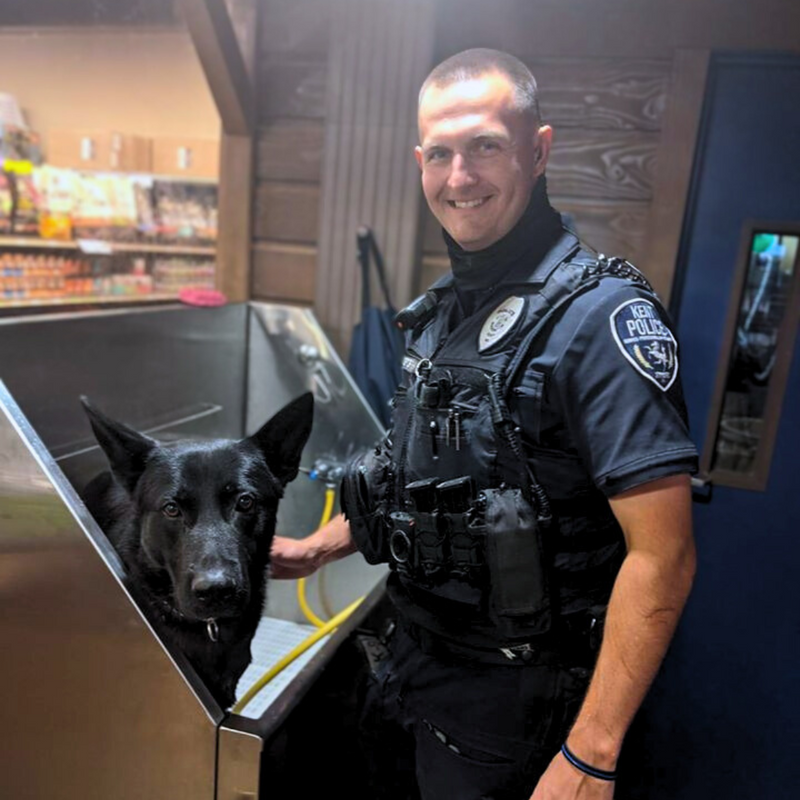 self service dog wash Kent, WA