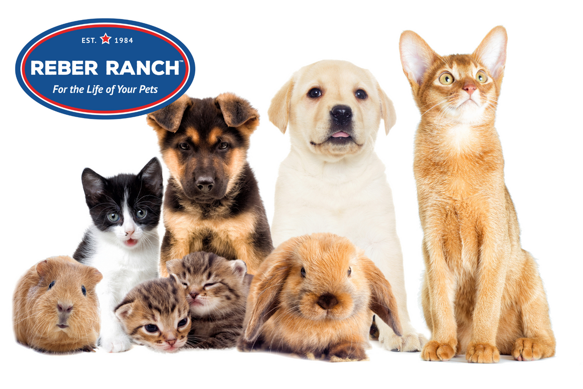 Shop Pet Supplies from Reber Ranch in Kent, WA - Kent, WA - Reber Ranch