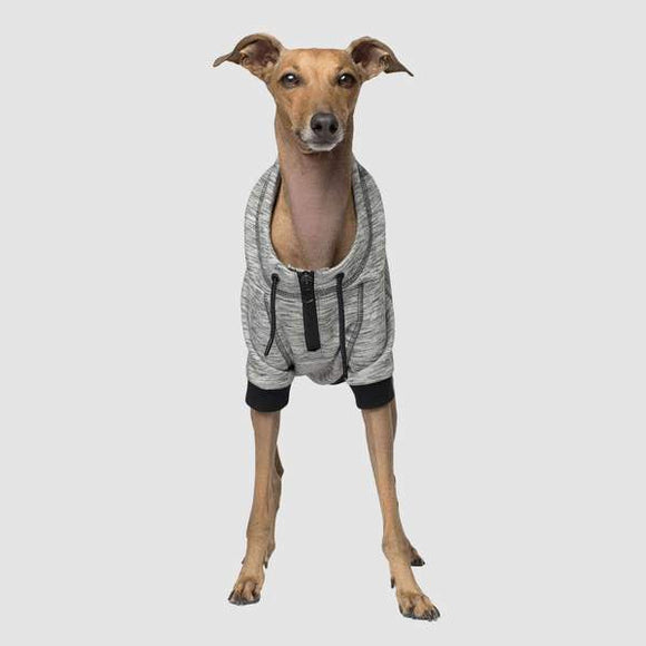 Canada Pooch Hero Hoodie Gray