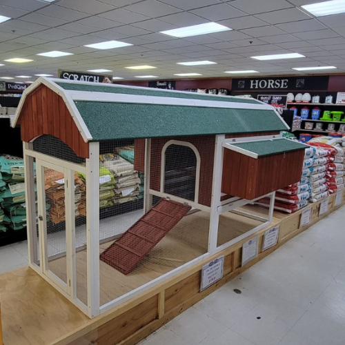 Chicken coop inside of Reber Ranch