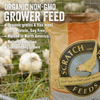 Scratch and Peck Feeds Naturally Free Organic Grower Feed