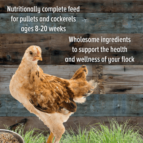 Scratch and Peck Feeds Naturally Free Organic Grower Feed