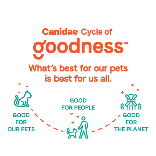 Canidae® Goodness for Skin & Coat Formula with Real Salmon Dry Cat Food (10-lb)