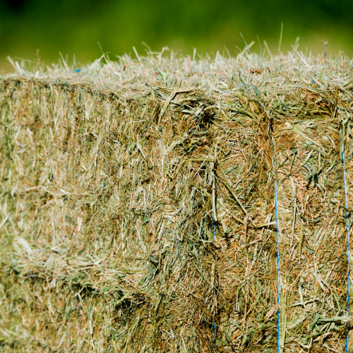 Square bale