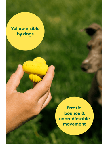 Earth Rated Rubber Fetch Dog Toy