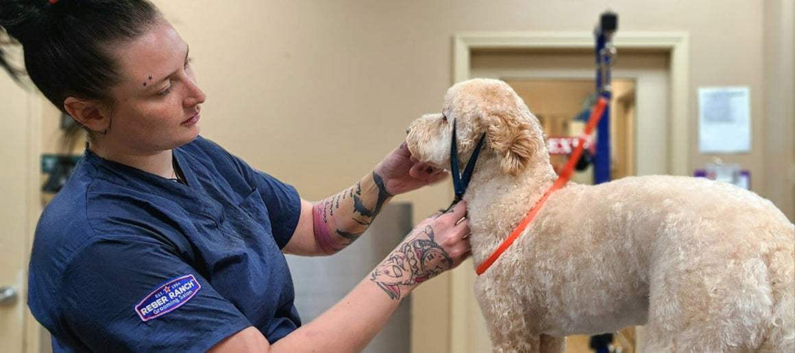 Reber Ranch & Pet Central: Pet Supply & Farm Store - Kent, WA