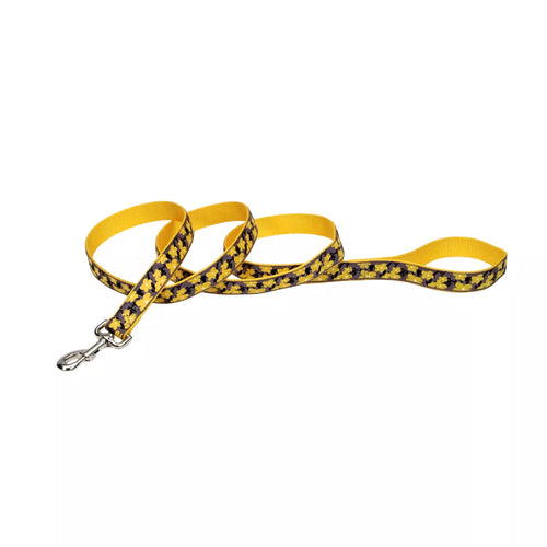 Coastal Ribbon Dog Leash