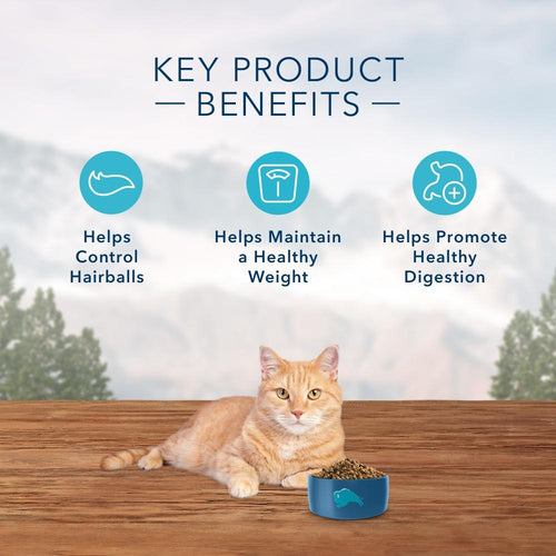 Blue Buffalo Wilderness Grain Free Hairball & Weight Control Natural Chicken High Protein Recipe Indoor Dry Cat Food