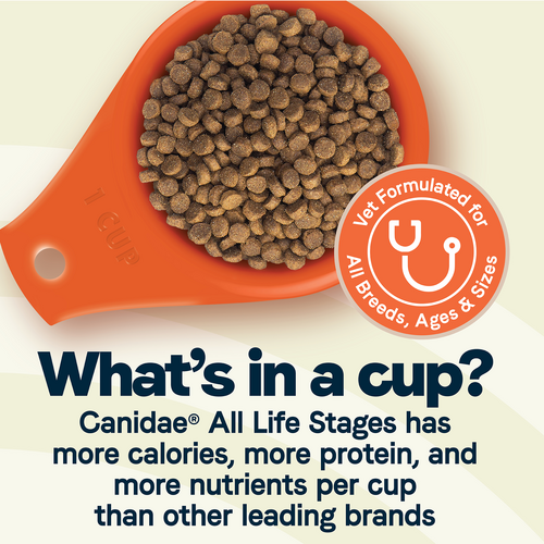 Canidae All Life Stages Large Breed Dry Dog Food, Turkey Meal and Brown Rice (44 lb)