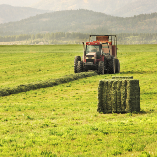 Square hay bale with tractor