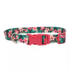 Coastal Pet Products Styles Adjustable Dog Collar