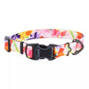 Coastal Pet Inspire Adjustable Fashion Dog Collar