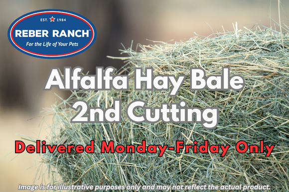 Reber Ranch Alfalfa Hay Bale - 2nd Cutting