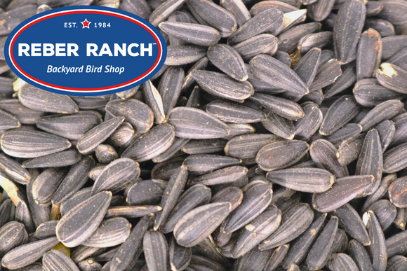 Reber Ranch Black Oil Sunflower Seeds