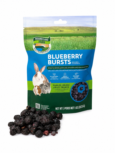 Round Lake Farm Blueberry Bursts