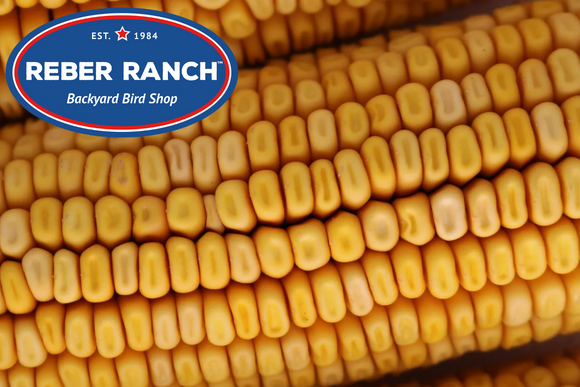 Reber Ranch Corn on the Cob