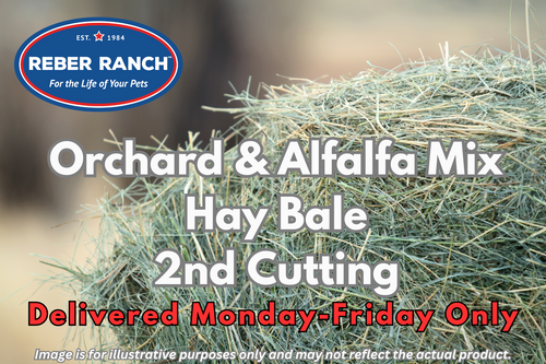 Reber Ranch Orchard & Alfalfa Mix Hay Bale - 2nd Cutting