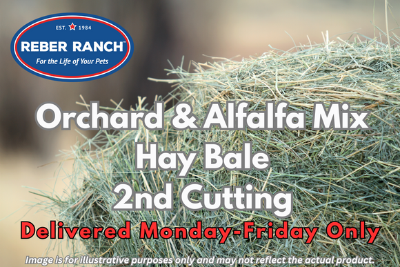 Reber Ranch Orchard & Alfalfa Mix Hay Bale - 2nd Cutting