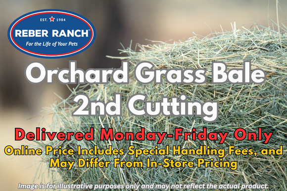 Reber Ranch Orchard Grass Hay Bale - 2nd Cutting