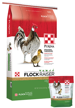 Purina® Flock Raiser® Crumbles