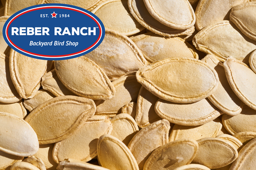 Reber Ranch Whole Pumpkin Seeds