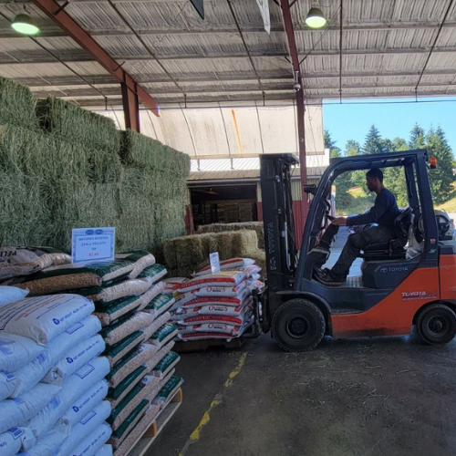 Square hay bales stacked in a barn