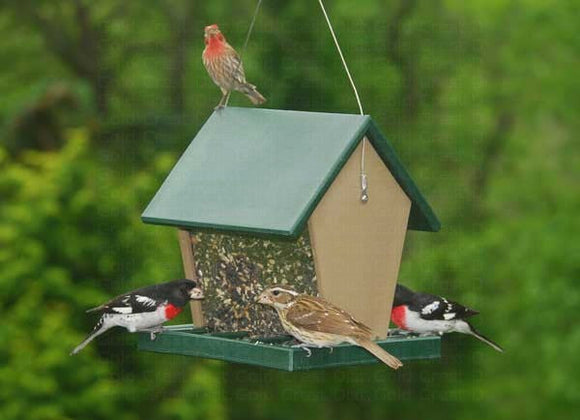 Songbird Essentials Recycled Plastic Large Hopper Feeder