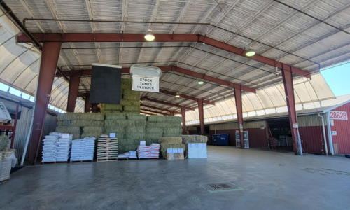 Square hay bales stacked in a barn