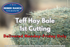 Reber Ranch Teff Hay Bale - 1st Cutting