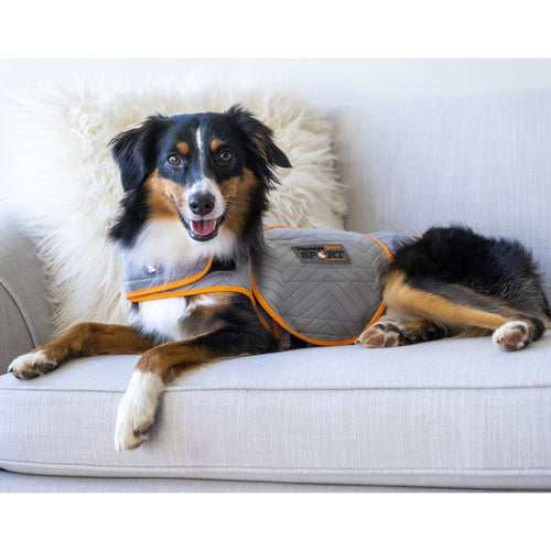 Thunderworks ThunderShirt for Dogs: Platinum Sport (XXLarge)