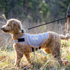 Thunderworks ThunderShirt for Dogs: Platinum Sport (XXLarge)