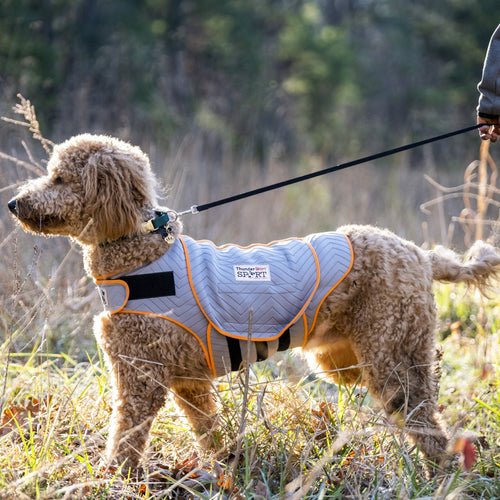 Thunderworks ThunderShirt for Dogs: Platinum Sport (XXLarge)