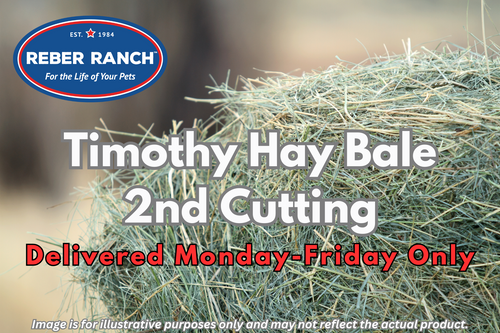 Reber Ranch Timothy Hay Bale - 2nd Cutting