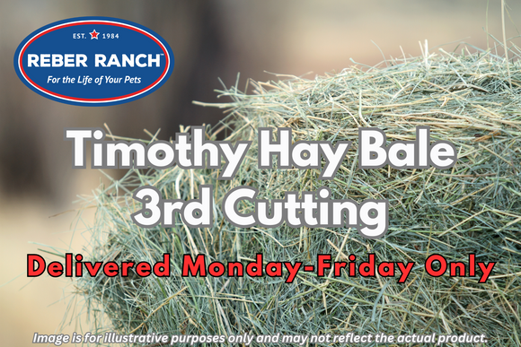 Reber Ranch Timothy Hay Bale - 3rd Cutting