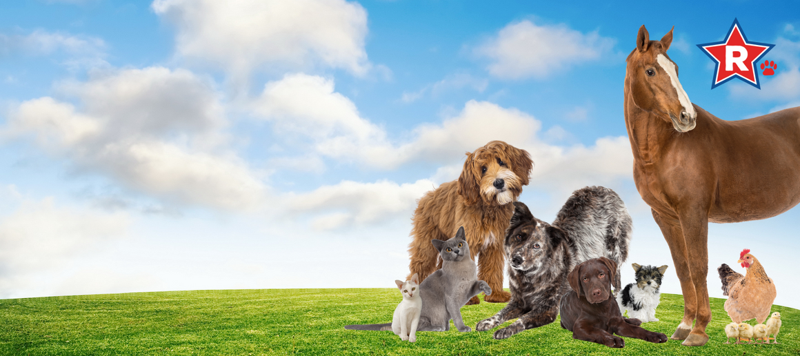 Reber Ranch & Pet Central: Pet Supply & Farm Store - Kent, WA