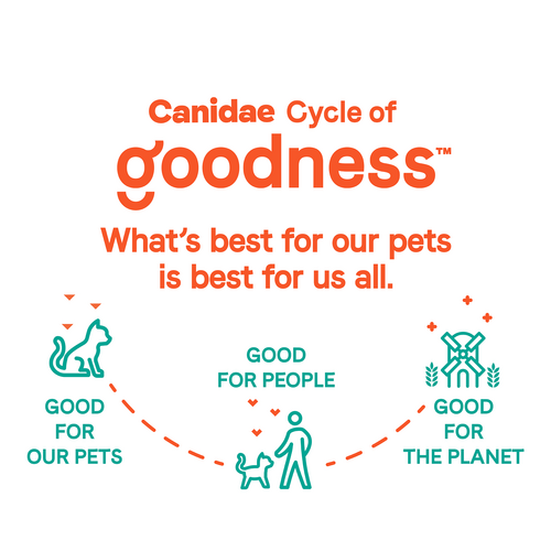 Canidae® Goodness for Digestion Formula with Real Chicken Dry Cat Food