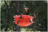 Humm-Bug Bird Feeder