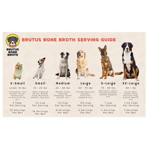 Brutus Bone Broth - Pork Flavor