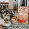 Petcurean Lamb & Pork Grain-Free Dry Dog Food