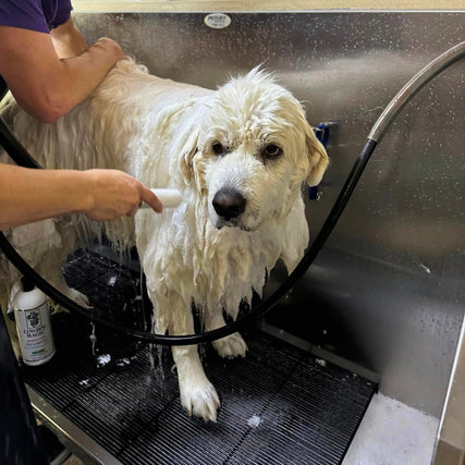 DIY Dog Wash