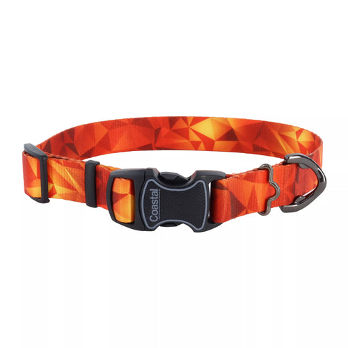 Coastal Pet Inspire Adjustable Fashion Dog Collar