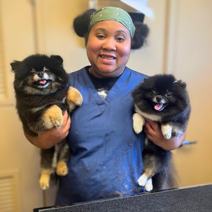 Reber Ranch & Pet Central: Pet Supply & Farm Store - Kent, WA