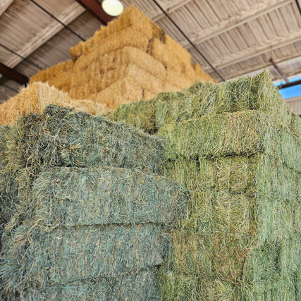 Reber Ranch & Pet Central: Pet Supply & Farm Store - Kent, WA