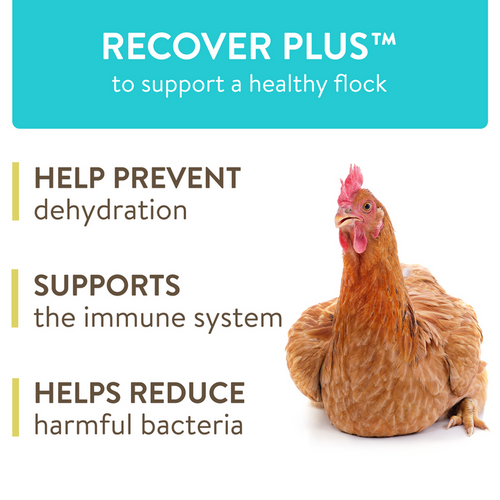 FlockLeader RECOVER PLUS