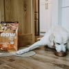 Petcurean Now Fresh Senior Turkey, Salmon & Duck Grain-Free Dry Dog Food