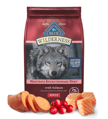 Blue Buffalo Wilderness Adult Salmon with Wholesome Grains Recipe Dry Dog Food (24 lb)