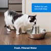 PetSafe Seaside Stainless Pet Fountain