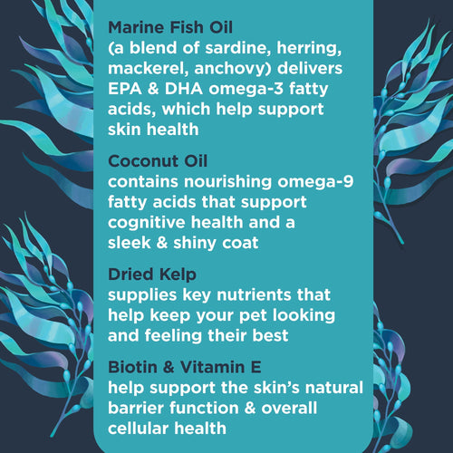 Nulo Superfood Omega Skin & Coat Soft Chew Supplement for Dogs