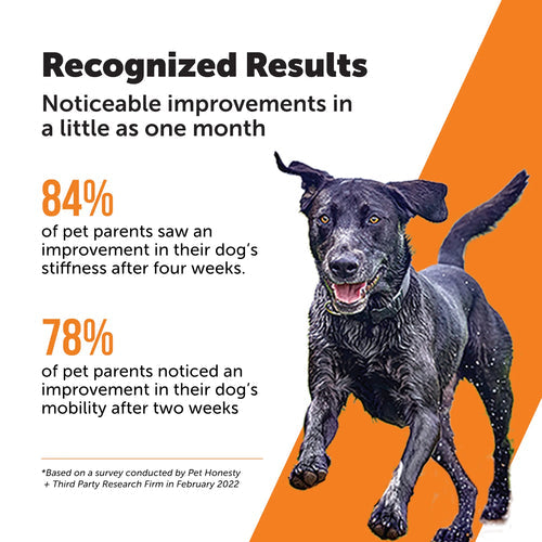 Pet Honesty Hip + Joint Health Max Strength Bacon Flavor for Dogs